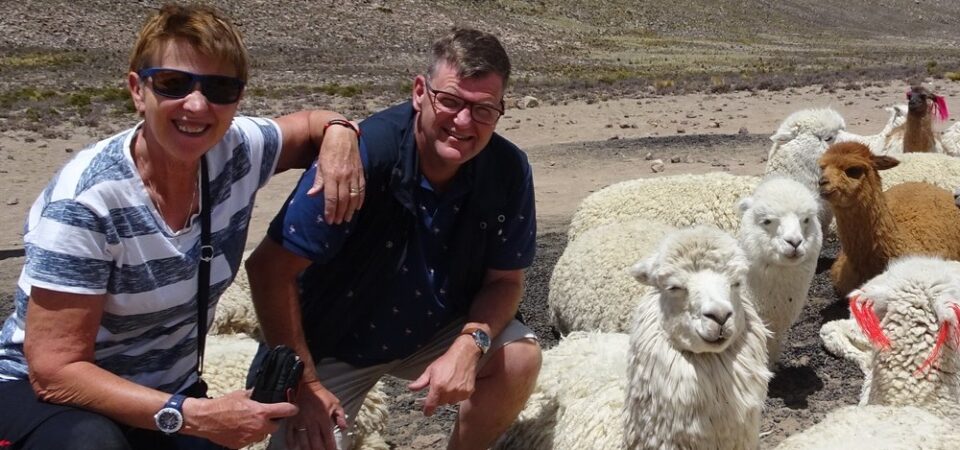 Rondreis door Bolivia 21 dagen reizigers met lama