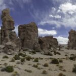 Gallery Thumbnail 6