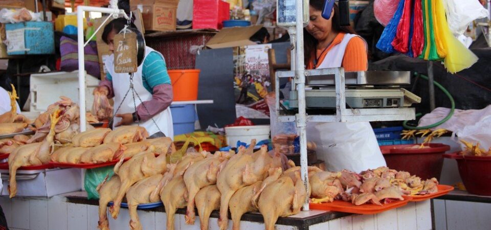 Auto huren Peru 24 dagen Arequipa markt