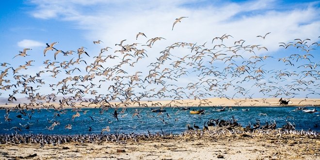 Auto huren Peru 24 dagen Paracas