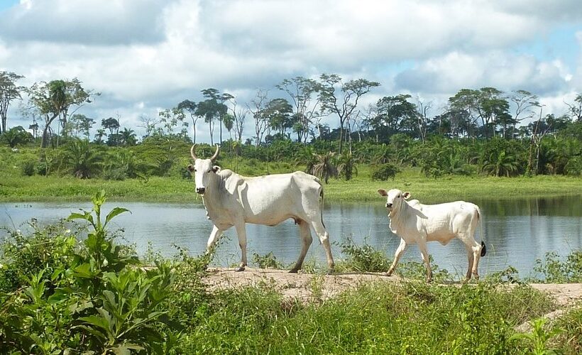 Jezuïetenmissies Santa Cruz Bolivia