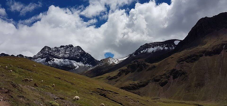 Rainbow mountains Peru schapen