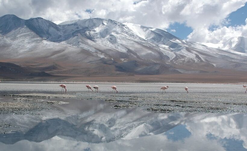 Uyuni Bolivia