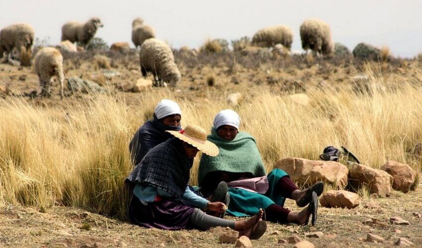 takesi trek bolivia, Individuele rondreis Peru en Bolivia