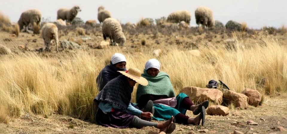 takesi trek bolivia, Individuele rondreis Peru en Bolivia