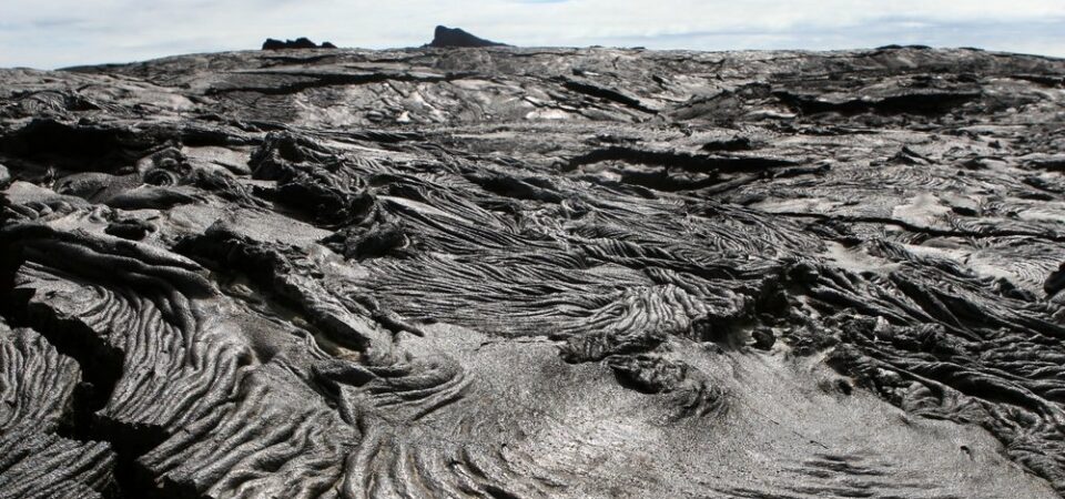 Galapagos eilanden punta albemarle