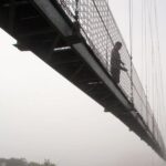 Gallery Thumbnail 8