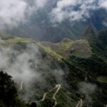 Gallery Thumbnail 11