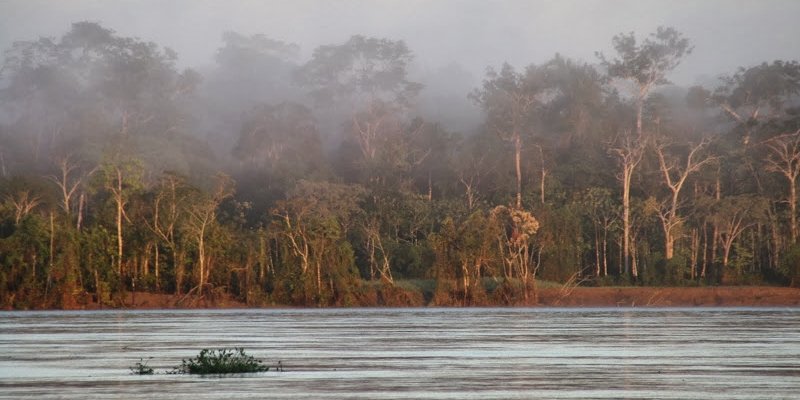 Amazone cruise Peru met Delfin