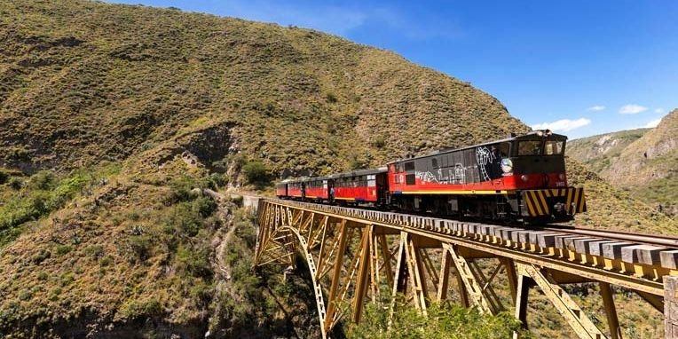 duivelsneus ecuador, locomotief