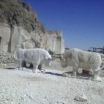 Gallery Thumbnail 3